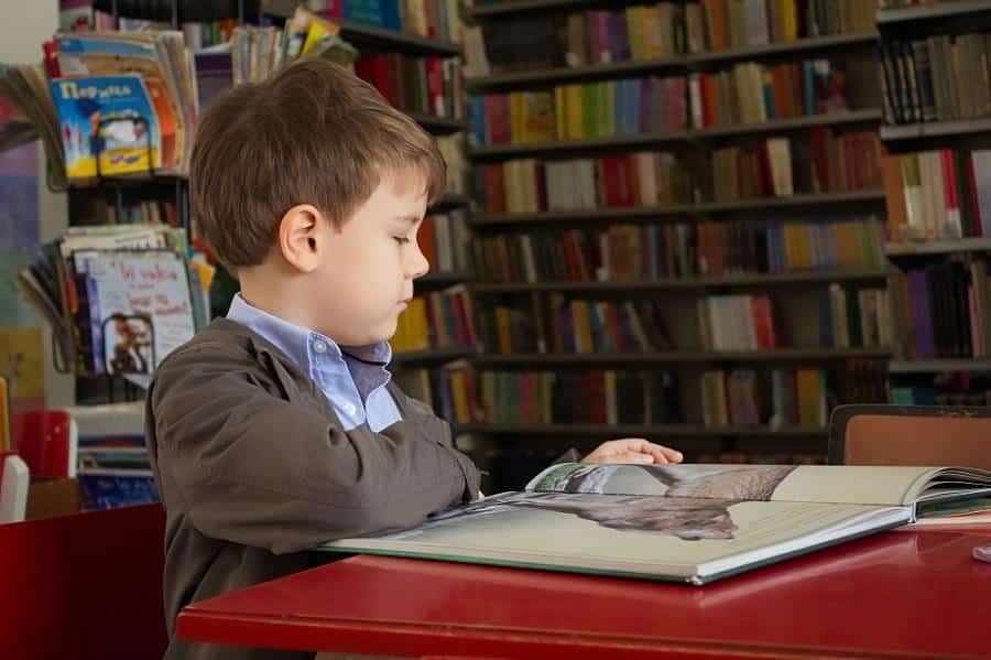 Young boy reading a book