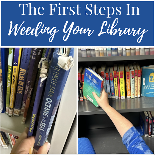 The First Steps in Weeding Your Library
